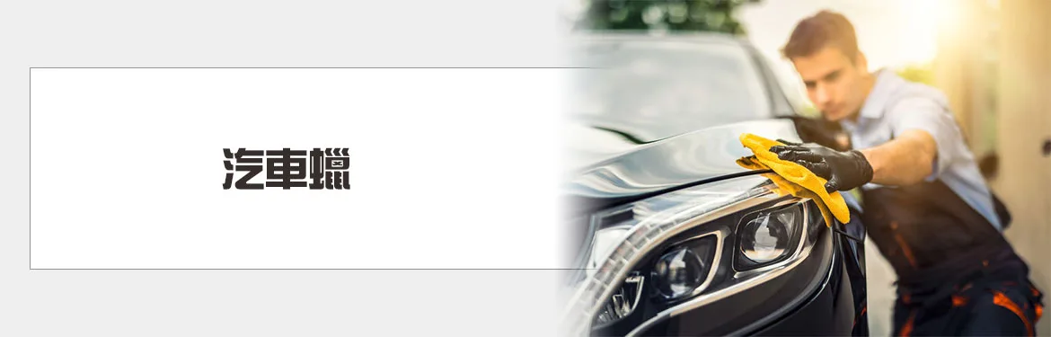 汽車打蠟-汽車蠟