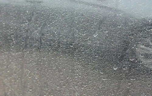 汽車上的水珠，容易沾染灰塵