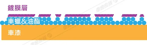 汽車鍍膜-表面殘蠟，鍍膜效果不佳