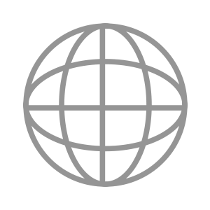 國內外網路通路