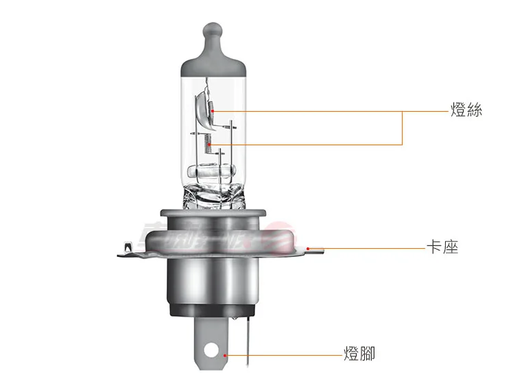 燈泡部位名稱介紹